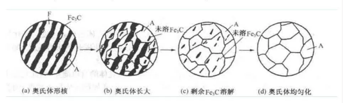 奧氏體形變過程